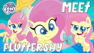 Pony Life | NEW | Meet Fluttershy in Pony Life | MLP Pony Life