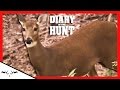 Urban Hunting | Hunting the Suburbs | (M) Diary of the Hunt #1 Urban Hunting | Hunting the Suburbs | (M) Diary of the Hunt #1