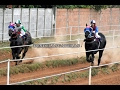 REINA DE CANINDEYU - Clasico, Jockey . Club. Coronel Oviedo Py 29.01.17