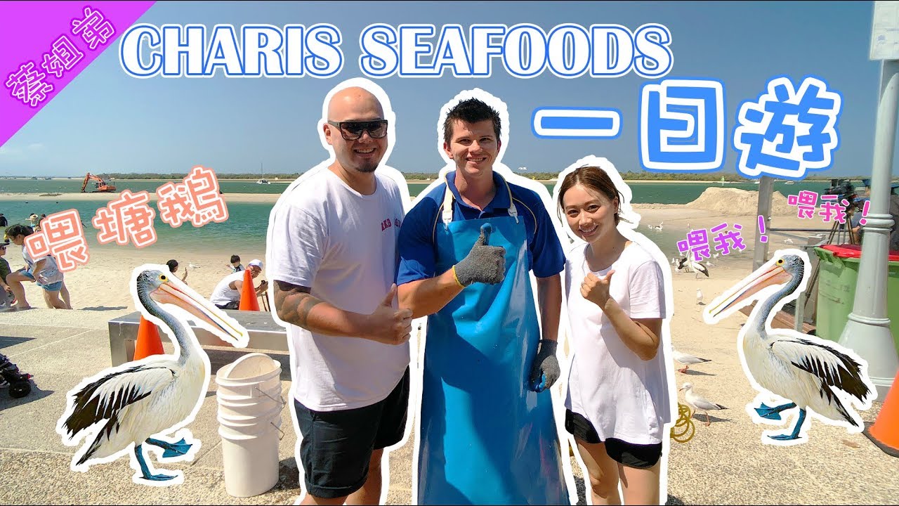 【旅行篇 TRAVEL】黃金海岸 喂塘鵝一日遊｜Day trip to Charis Seafoods Gold Coast｜TTT 蔡姐弟