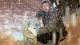 Feci̇ Bi̇r Kar Yağdi Aşağidaki̇ Köpekler Aç Kaldi Şero İle Nostalji̇ Şu Kara Bakin