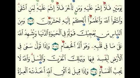 (3) سورة البقرة من 203 الى 210