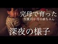 【断乳します】断乳直前の赤ちゃんの深夜の様子【生後10ヶ月】【リアル】