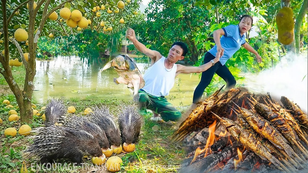 Shocking Moment! Giant Python Ambushes Turtle During Smoked Fish Processing 🐍- Rescue Turtles!