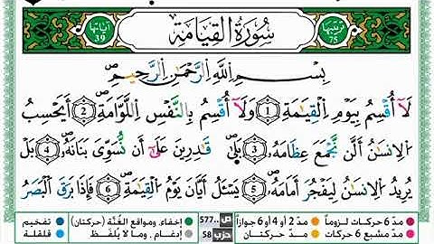 سورة القيامة مكررة ياسين الجزائري برواية ورش عن نافع
