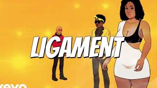 CHARLY BLACK, GAGE, RENEE 6:30 - LIGAMENT