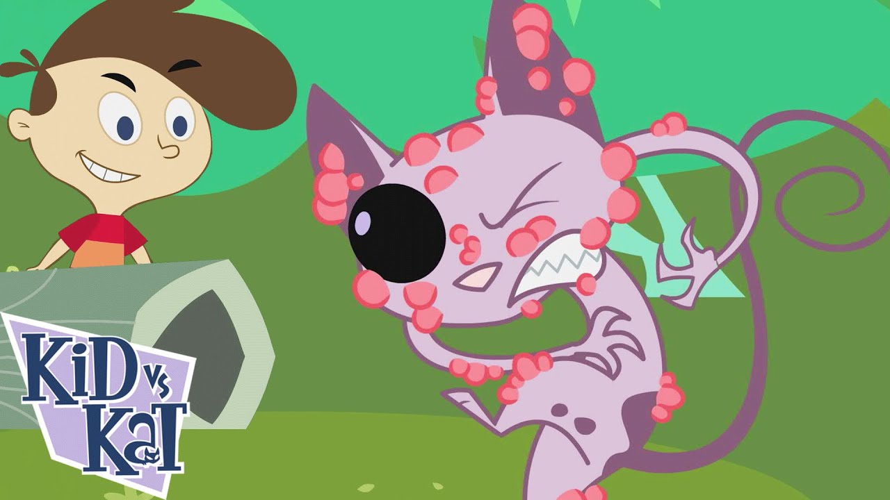 Une grande famille heureuse // Joyeux campeurs | Enfant Contre Chat | Films Pour Enfants