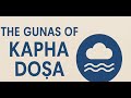"Kapha Dosha Guna &amp; How Kapha Guna Affect Your Body &amp; Mind Ayurveda Basics