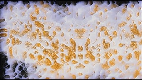 Entangled Others | Reason is a Flower - Thoughts on Art and Science