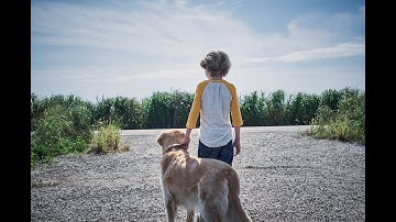 In the Tall Grass (2019) Official Trailer Netflix