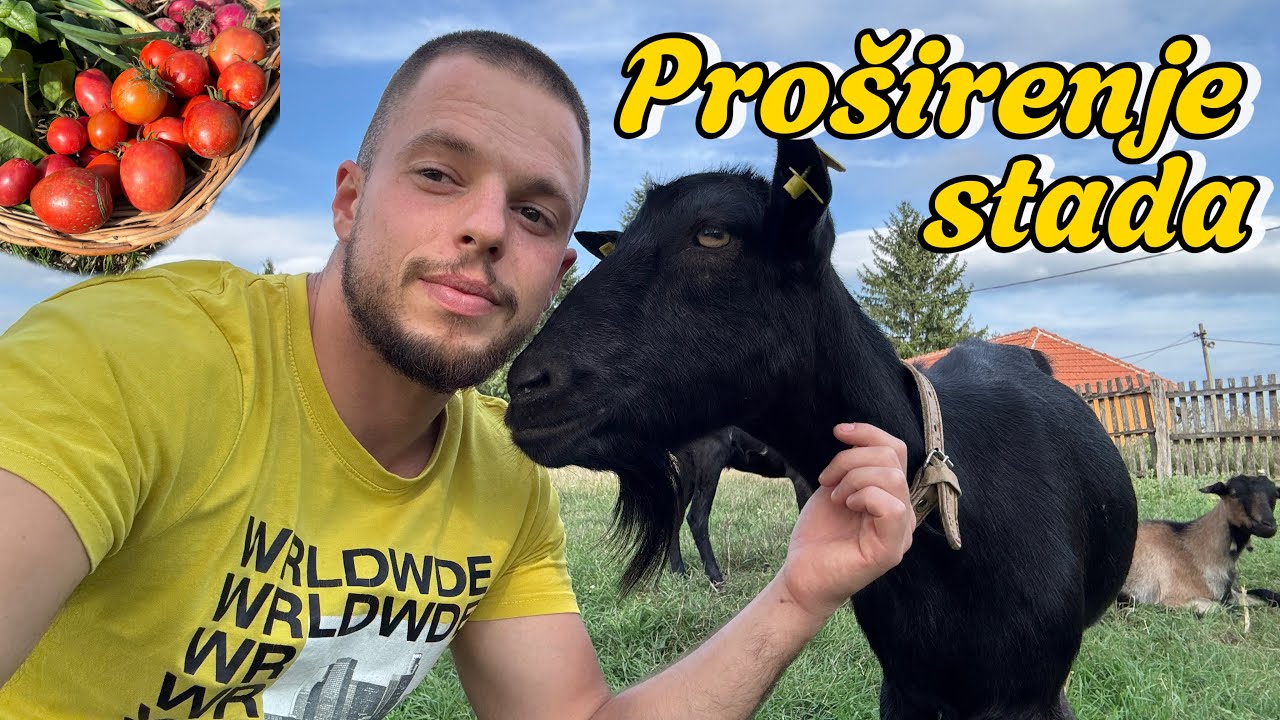 Kupio sam nove koze 🐐