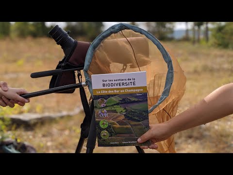 Journée Européennes du Patrimoine - Pelouse de Champ Connier