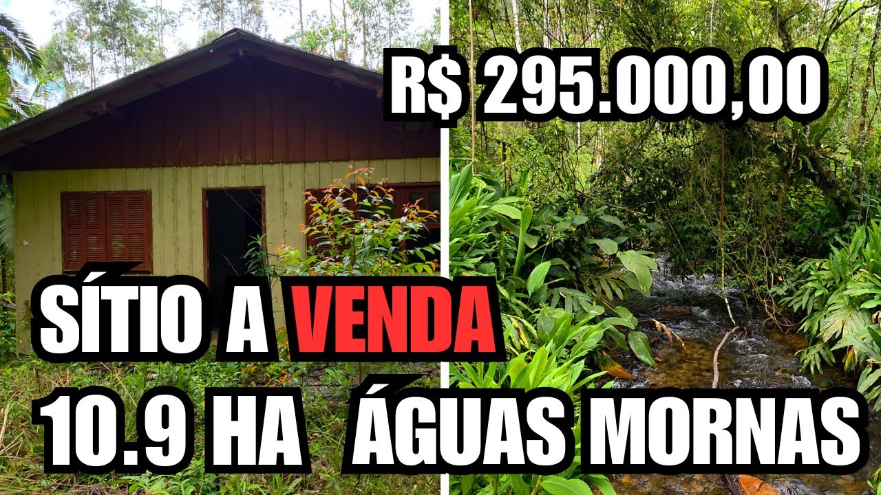 SÍTIO EM ÁGUAS MORNAS -SC | 10.9 HECTARES | RIACHO | NASCENTE | R$ 295 MIL