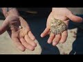 Refined by Time: Doug Crook and the Intercoastal Collection | '47 Brand