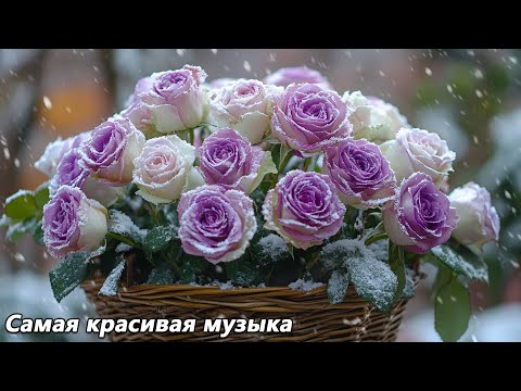 המנגינה הכי יפה בעולם אני רוצה להאזין לה לנצח מוזיקה מאת סרגיי גרישוק 3 