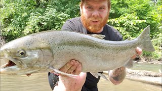 How To Fish Trail Creek For Skamania (summer steelhead ), Coho Salmon, And King salmon In Indiana!