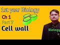 Cell wall | cell wall function | cell wall definition | cell wall structure