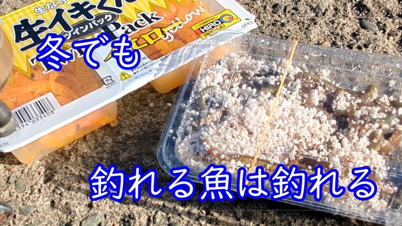冬の海でも、2大エサなら何かは釣れるだろう・・？