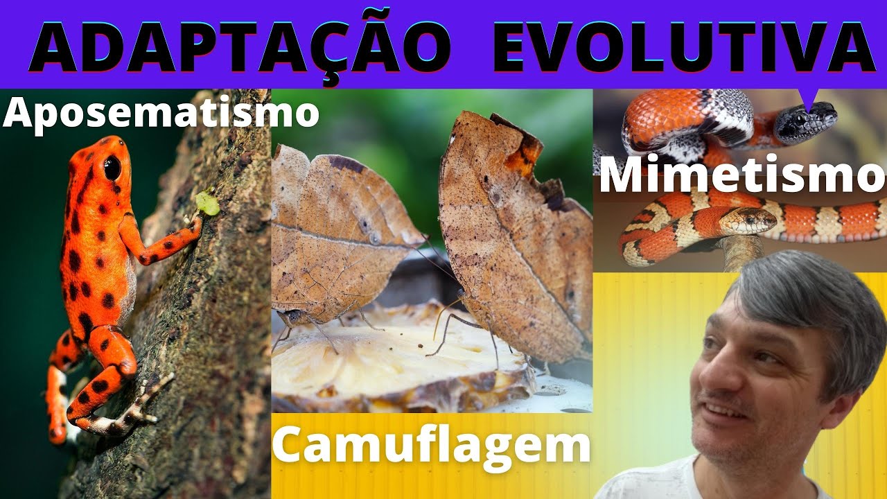Exemplos De Adaptacao Biologia 1643617 (1)