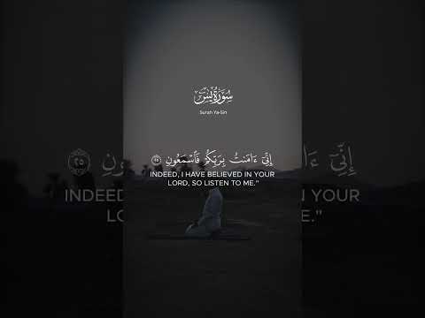 قيل ادخل الجن ة بصوت هادئ للقارئ محمد هشام قرآن قران كريم