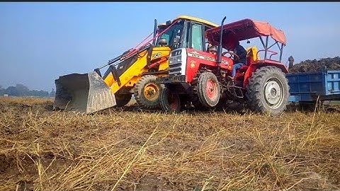JCB 3dx Backhoe Loading Soil is Massey Ferguson 241DI Tractor trolley