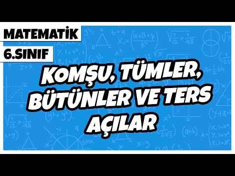 6. Sınıf Matematik - Komşu, Tümler, Bütünler ve Ters Açılar | 2022