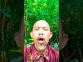 Harimau & Macan #shorts #ngeshortsdulu #trendingshorts #youtubeshorts #tiktok #funny #feedshorts