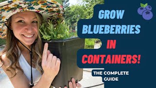 Growing Blueberries In Containers: The Complete Guide