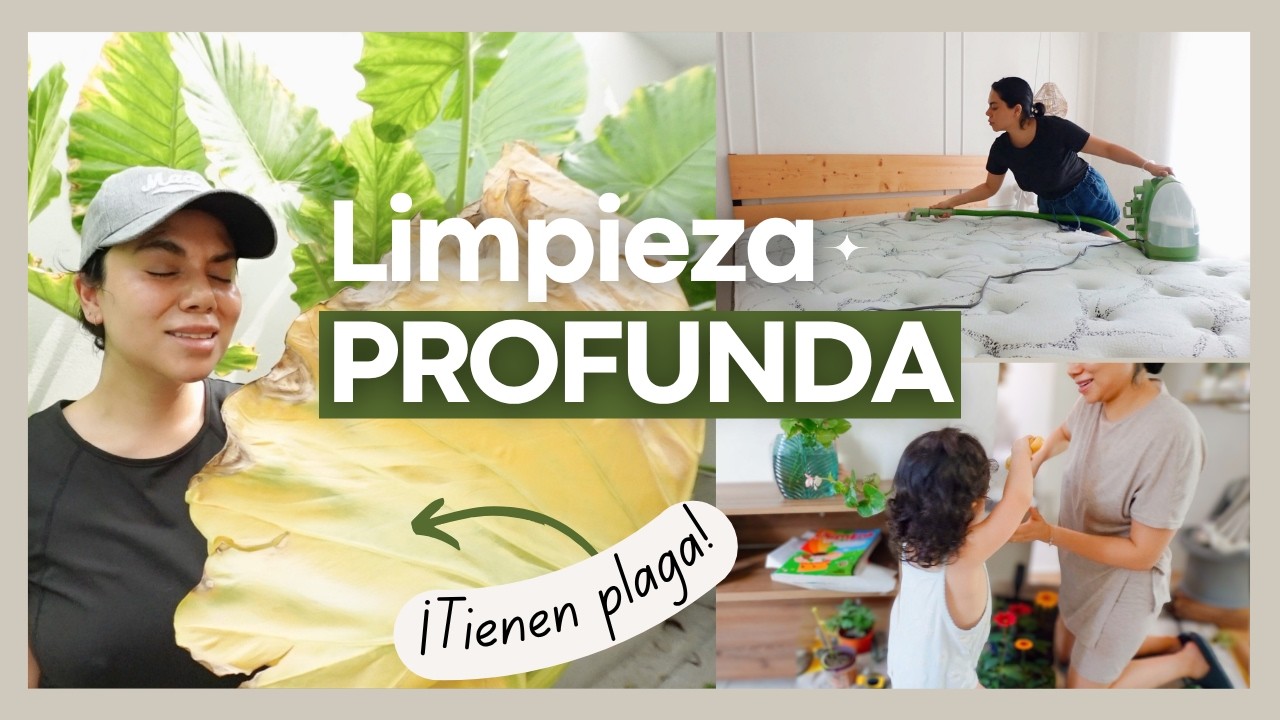 Limpieza REAL de Mamá Ocupada 🧽 Colchón, Cortinas y Plantas ¡Sin Pausa!