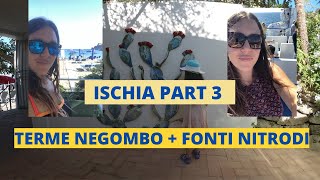 ISCHIA PART 3 | TERME NEGOMBO + FONTI DI NITRODI VLOG | Prontivaligiaevia