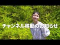 【緊急告知！】 シトウレイチャンネルお引越しします！
