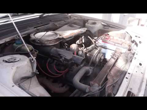 Peugeot 505 Startup Revs