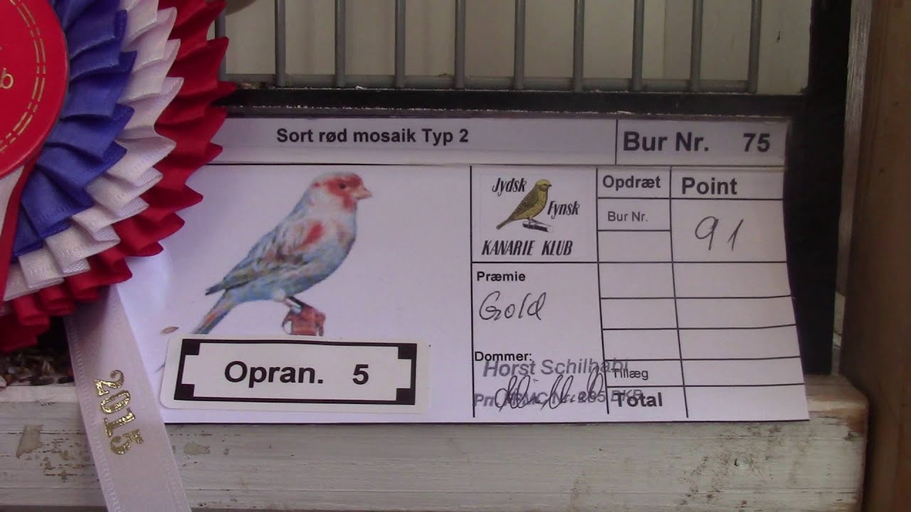 75. Sort rød mosaik T2 - Erling Pedersen - 91 points - Guld