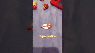 power up of the day No. 20 cape feather