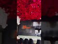 مزاميز مكان يستاهلك وتستاهله
