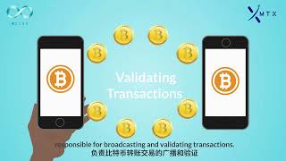 【MTX Crash Course EP 18：What are Bitcoin nodes？】