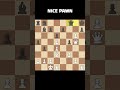 NICE MOVE PAWN  #chess #chessmemes
