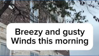 Breezy morning in Plano