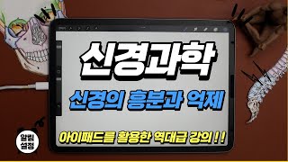 [신경과학] 신경의 흥분과 억제 ㅣ 송창호 교수