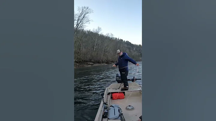 Big Brown Trout Heartbreak #streamerfishing #flyfishing #fishing #troutfishing #bigjuan #streamers