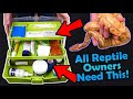 How to Make a Reptile First Aid Kit!