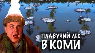 Плавучий ЛЕС — Генрих Немчинов