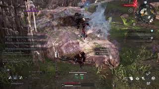 Bless Unleashed Union PVP FREE FOR ALL ZERK