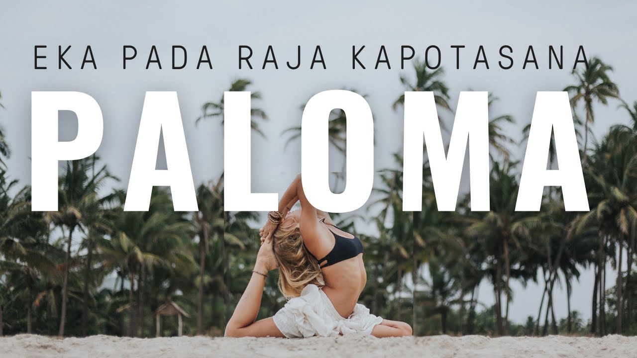 Tutorial postura de la paloma o eka pada rajakapotasana