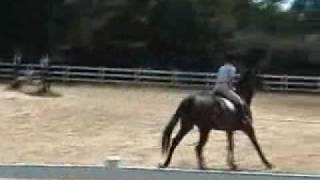Louie: jumping
