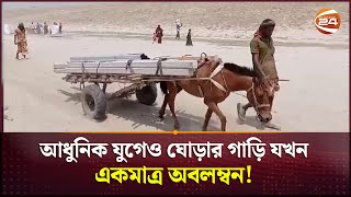 গাইবান্ধার চরাঞ্চলে জনপ্রিয় বাহন হয়ে উঠেছে ঘোড়ার গাড়ি | Horse Carriage | Gaibandha | Channel 24