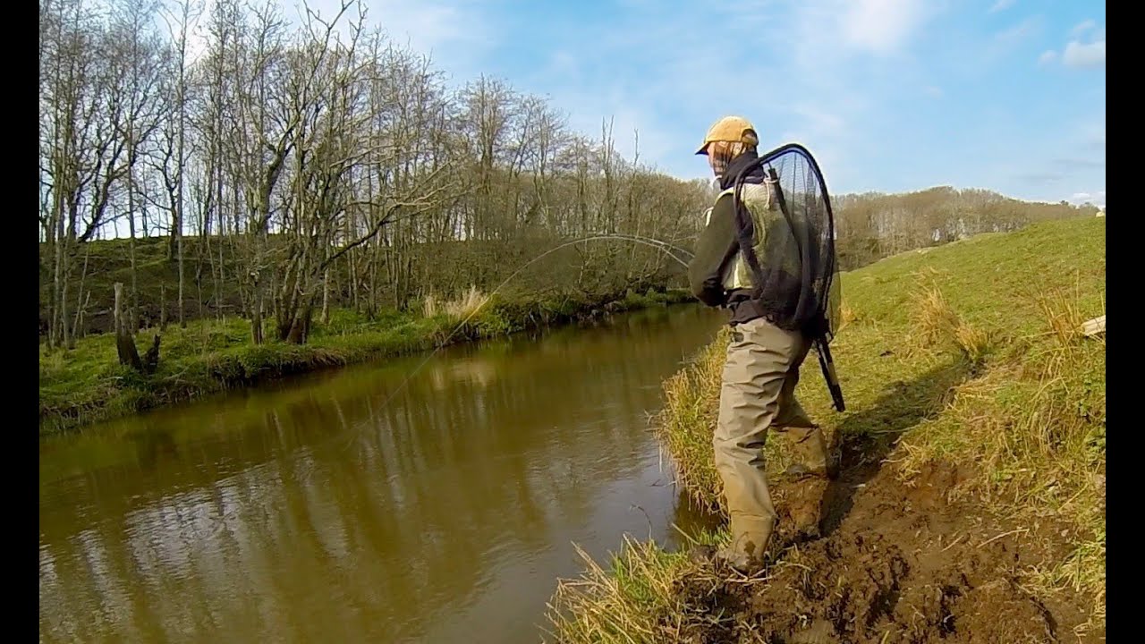 Forårs laks en flidspræmie 2021