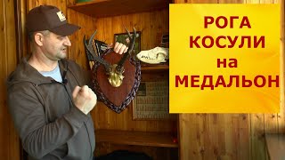 Рога косули "на медальон" своими руками! Для тех у кого руки из плеч...