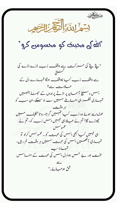 best motivational qoutes about life | feel the love of ALLAH | informative qoutes #deepthought