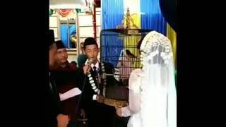MAHAR PERNIKAHAN BURUNG MURAI BATU 😁 Sahh ||| Fighter